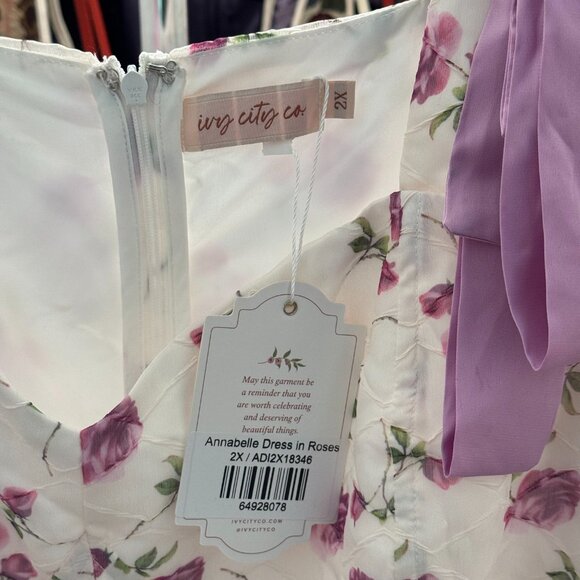 Ivy City Co Annabelle Dress in Roses 2X NWT - Picture 6 of 7
